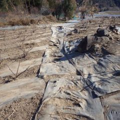 防草シートを張り直す前に小石などを綺麗に清掃