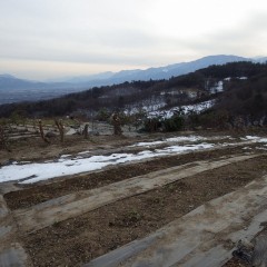 これでまもなく残っている雪も溶けるでしょう