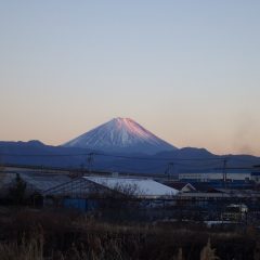 富士山に夕日が当たりましたが雪の少ない富士山はちょっと寂しい感じがしました