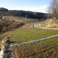 午後からは傾斜畑の除草作業