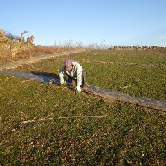 寒風に耐えながら地道な作業が続きます