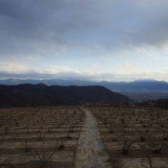 日暮れ頃、何処からともなく雪雲の様な重たい雲が立ち込めてきました