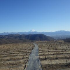 雲一つない青空に綺麗な富士山が見えました