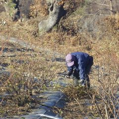 体が飛ばされそうな風に耐えながらの作業です