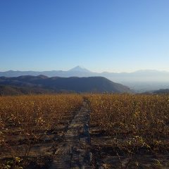 そして今年の富士山はこれで見納めです