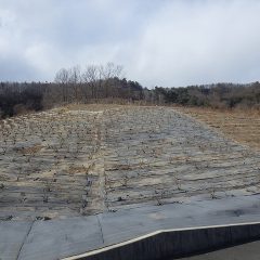 ローズの剪定作業が再開されました