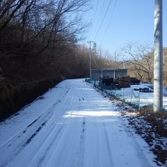 農場に続く農道はまだ雪が融けずに残っている場所もありました