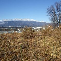昨日の雪で南アルプスの山々は真っ白になっています