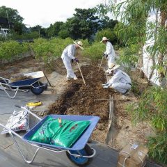 来年のために畑の改良作業も行われています