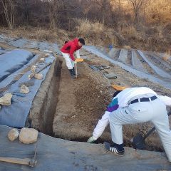 斜面を階段状の畑に整備しています
