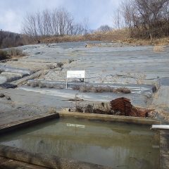 農場にある水槽の氷が解けました