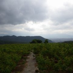 朝は晴れて28℃越えでしたが昼前からどんよりとした雲が空を覆い始めました