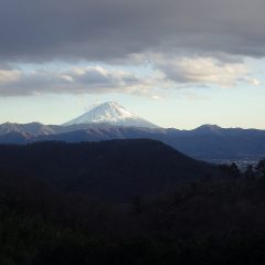 作業が終わる頃は雲が張り出し冷たい風が吹き始めました