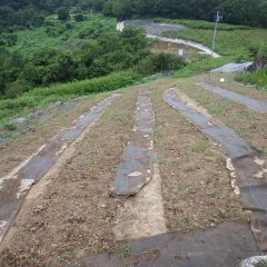 やむなく作業を中断して待避しました