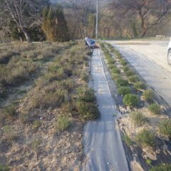 除草作業は日が傾くまで続けられています