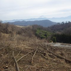 曇天ですが富士山が良く見えました