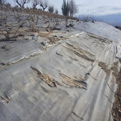 太陽の紫外線や寒風に晒されているので張り替えることにしました