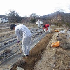 春に向けて農場の準備が着々と進められています