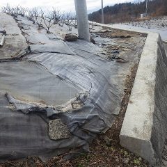 農場入り口の防草シート張り替え