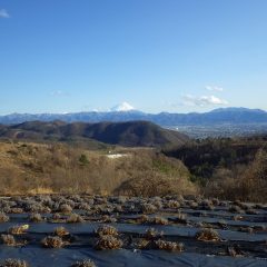 作業が終わると富士山がクッキリと現れていました