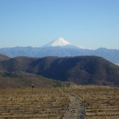 今日の作業が終わると雲が無くなり富士山が綺麗に見えました