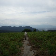 風が無く蒸し暑い農場の始まりです