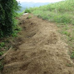 法面（斜面）の除草作業