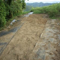 除草作業終了