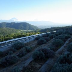 夕方、富士山が姿を現してくれました