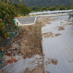 雨が本降りになる前に急いで防草シートを張り残した場所を仕上げました