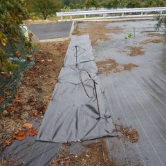 防草シートを張り終わると雨は本降りになっていました