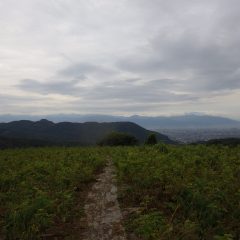 作業が終わる頃には再び雲が垂れ込めて来ました　今夜からまた雨の予報