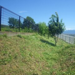 何とか草刈り作業終了