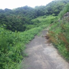 ラベンダー畑下の農道の草刈り作業