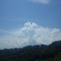 梅雨はまだ明けていませんが連日の猛暑日、今日も入道雲が湧き上がっています