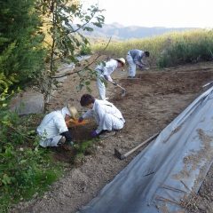 除草作業終了