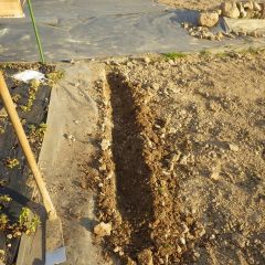 雨水を流す排水溝を掘りました