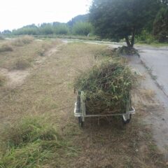 刈った草の片付け作業