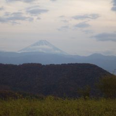 雪化粧