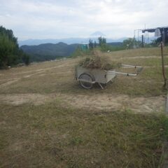 草の片付け作業終了！