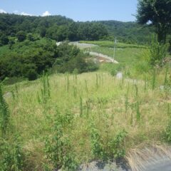 続いてはこちらの畑の草刈り作業開始