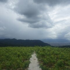 お昼前には雨が降る予報