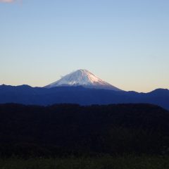 夕方になると雲が切れ富士山が夕日に照らされていました