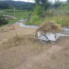 湿度が高く蒸し暑い中での作業です