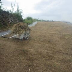ポツポツと雨粒は落ちて来るものの中々降り出しません