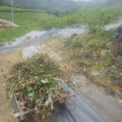 最後のひと山を片付けて終了