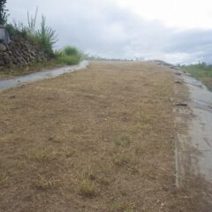 結局最後まで雨は降らず、草を片付ける事が出来ました