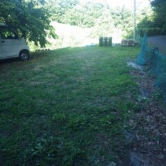 お盆休み前に出来る限りの草刈り作業を終了しました