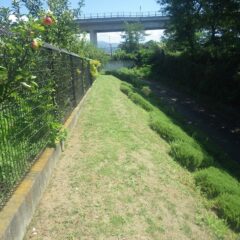 草刈り作業開始