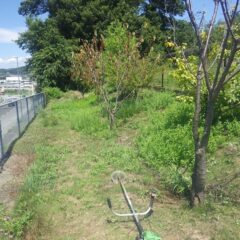 草刈り作業も終わりが見えて来ました